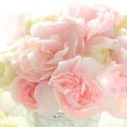 ヒメ日記 2025/08/07 05:25 投稿 リリア ミセスコレクション