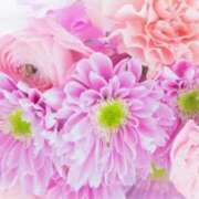 ヒメ日記 2025/08/09 05:33 投稿 リリア ミセスコレクション