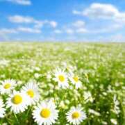 ヒメ日記 2025/08/10 05:43 投稿 リリア ミセスコレクション