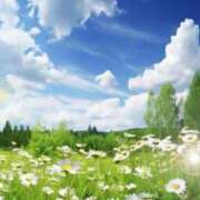 ヒメ日記 2025/08/10 05:45 投稿 リリア ミセスコレクション