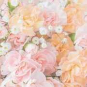 ヒメ日記 2025/08/11 05:43 投稿 リリア ミセスコレクション