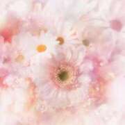 ヒメ日記 2025/08/12 05:23 投稿 リリア ミセスコレクション