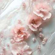 ヒメ日記 2025/08/12 05:25 投稿 リリア ミセスコレクション