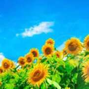 ヒメ日記 2025/08/16 05:23 投稿 リリア ミセスコレクション