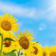 ヒメ日記 2025/08/16 05:26 投稿 リリア ミセスコレクション