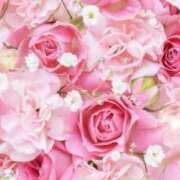 ヒメ日記 2025/08/17 05:53 投稿 リリア ミセスコレクション