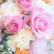 ヒメ日記 2025/08/17 05:55 投稿 リリア ミセスコレクション