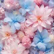 ヒメ日記 2025/08/19 05:45 投稿 リリア ミセスコレクション