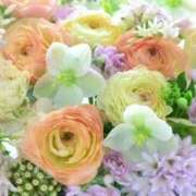 ヒメ日記 2025/08/20 06:03 投稿 リリア ミセスコレクション