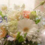 ヒメ日記 2025/08/20 06:05 投稿 リリア ミセスコレクション