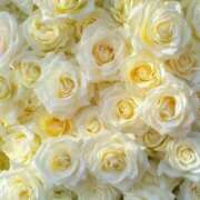 ヒメ日記 2025/08/22 05:46 投稿 リリア ミセスコレクション