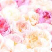 ヒメ日記 2025/08/23 05:43 投稿 リリア ミセスコレクション