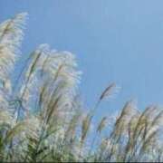 ヒメ日記 2025/08/23 17:26 投稿 リリア ミセスコレクション