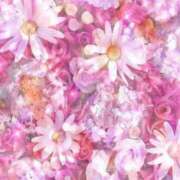 ヒメ日記 2025/08/24 05:53 投稿 リリア ミセスコレクション