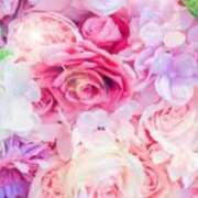 ヒメ日記 2025/08/24 05:55 投稿 リリア ミセスコレクション