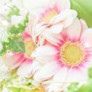 ヒメ日記 2025/08/25 05:35 投稿 リリア ミセスコレクション