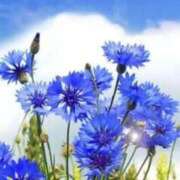 ヒメ日記 2025/08/27 05:35 投稿 リリア ミセスコレクション