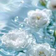 ヒメ日記 2025/08/27 18:43 投稿 リリア ミセスコレクション