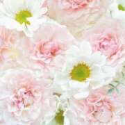 ヒメ日記 2025/08/28 06:03 投稿 リリア ミセスコレクション