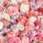 ヒメ日記 2025/08/29 05:56 投稿 リリア ミセスコレクション