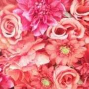 ヒメ日記 2025/09/04 05:43 投稿 リリア ミセスコレクション