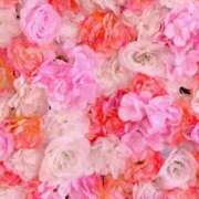 ヒメ日記 2025/09/04 05:45 投稿 リリア ミセスコレクション