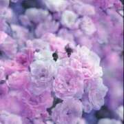 ヒメ日記 2025/09/06 06:03 投稿 リリア ミセスコレクション