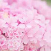 ヒメ日記 2025/09/08 05:53 投稿 リリア ミセスコレクション