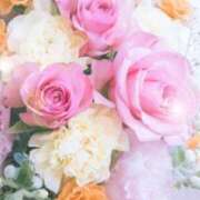 ヒメ日記 2025/09/09 05:55 投稿 リリア ミセスコレクション