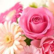 ヒメ日記 2025/09/10 05:55 投稿 リリア ミセスコレクション