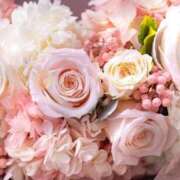 ヒメ日記 2025/09/11 06:13 投稿 リリア ミセスコレクション