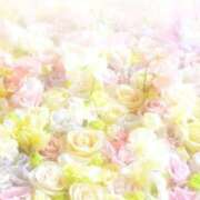 ヒメ日記 2025/09/12 05:33 投稿 リリア ミセスコレクション