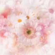 ヒメ日記 2025/09/13 05:53 投稿 リリア ミセスコレクション