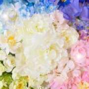 ヒメ日記 2025/09/16 05:55 投稿 リリア ミセスコレクション