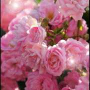 ヒメ日記 2025/09/18 05:53 投稿 リリア ミセスコレクション