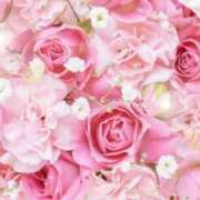 ヒメ日記 2025/09/19 05:43 投稿 リリア ミセスコレクション