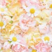 ヒメ日記 2025/09/20 06:13 投稿 リリア ミセスコレクション