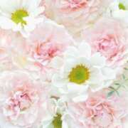 ヒメ日記 2025/09/20 06:15 投稿 リリア ミセスコレクション