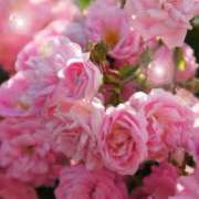 ヒメ日記 2025/09/22 06:13 投稿 リリア ミセスコレクション