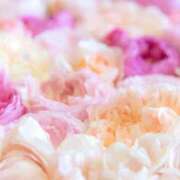 ヒメ日記 2025/09/22 06:16 投稿 リリア ミセスコレクション