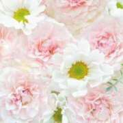 ヒメ日記 2025/09/23 05:46 投稿 リリア ミセスコレクション