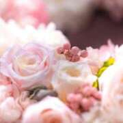 ヒメ日記 2025/09/24 05:55 投稿 リリア ミセスコレクション