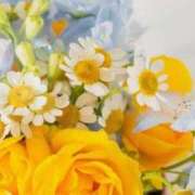 ヒメ日記 2025/09/25 06:05 投稿 リリア ミセスコレクション