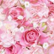 ヒメ日記 2025/09/27 06:15 投稿 リリア ミセスコレクション