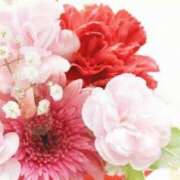 ヒメ日記 2025/09/30 06:06 投稿 リリア ミセスコレクション