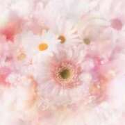 ヒメ日記 2025/10/02 06:05 投稿 リリア ミセスコレクション