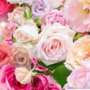 ヒメ日記 2025/10/05 06:23 投稿 リリア ミセスコレクション