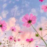 ヒメ日記 2025/10/07 05:53 投稿 リリア ミセスコレクション