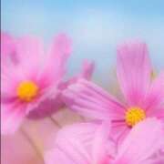 ヒメ日記 2025/10/07 05:55 投稿 リリア ミセスコレクション