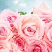 ヒメ日記 2025/10/08 06:05 投稿 リリア ミセスコレクション